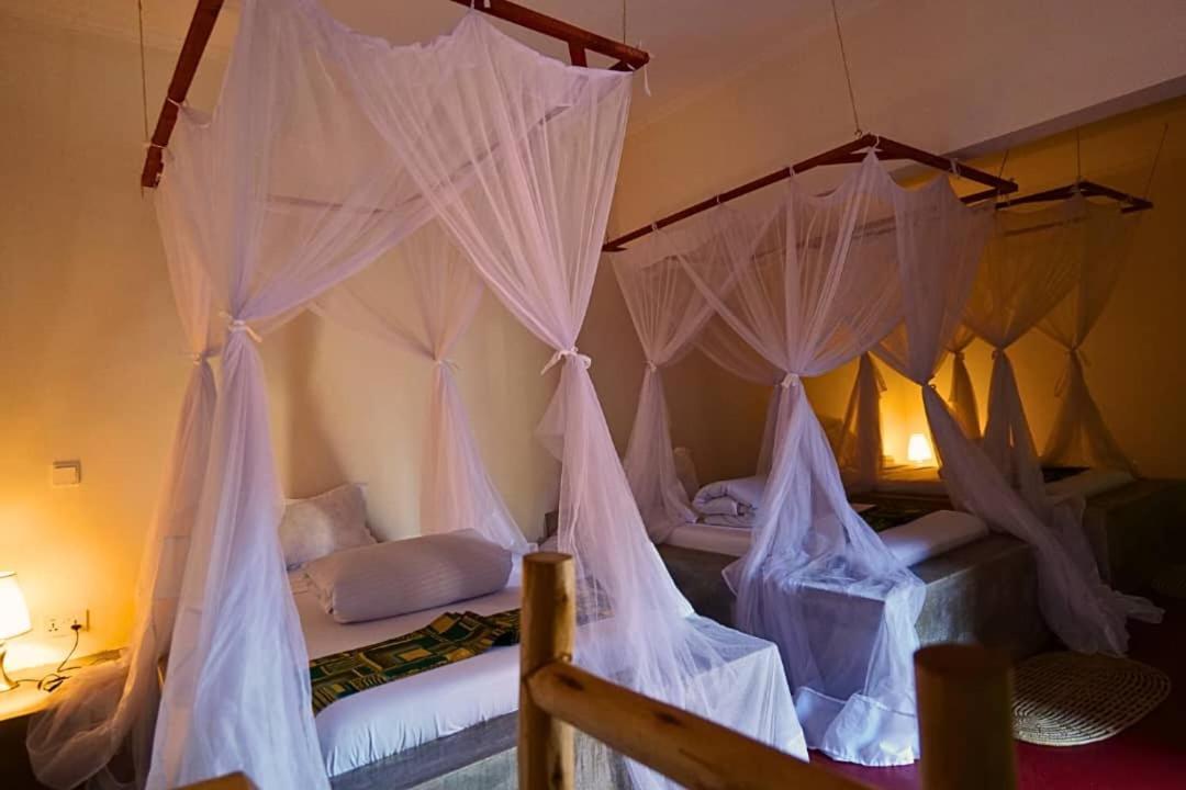 Freedom Inn Αρούσα Εξωτερικό φωτογραφία